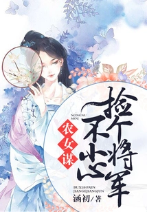 Peasant Girl Plans: Picking up a General by Accident