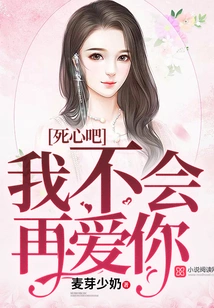 Give Up, I Will Never Love You Again