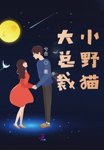 Big Ceo, Little Wildcat