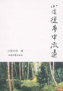 The Stream Flows Through the Dream