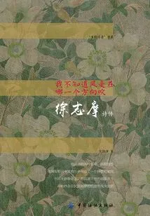 I Don't Know Which Direction the Wind is Blowing: a Biography of Xu Zhimo's Poems