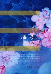 There is Nothing in the Sky, so Why Does it Give Me Comfort: Haizi's Poetry Biography