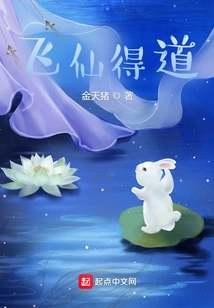 Feixian Attains Enlightenment