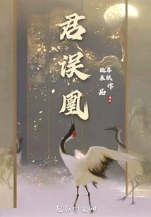 You Mistook the Phoenix