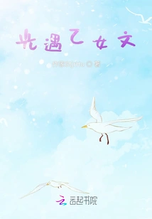 Light Encounters an Otome Novel