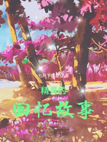 Elf's Memories Story