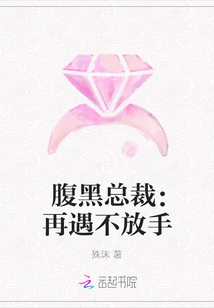 The Shady Ceo: Never Let Go If We Meet Again