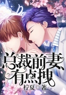 President, My Ex-wife is a Bit Awkward