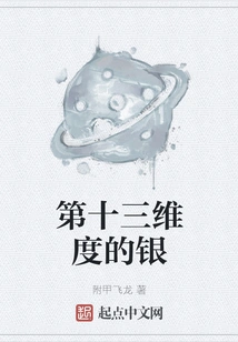 Silver in the Thirteenth Dimension