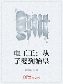 The Electrician King: from Ziying to First Emperor