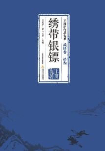 Embroidered Silver Dart