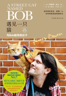 Meet a Cat: Days with Bob