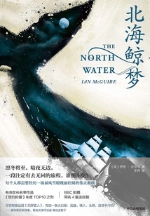 North Sea Whale Dream