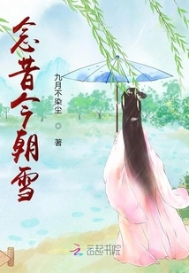 Miss the Past and Present Snow