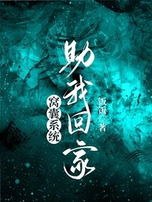 Useless System, Help Me Get Home