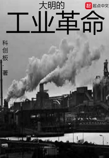 Ming's Industrial Revolution