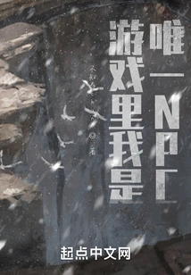 I Am the Only Npc in the Game