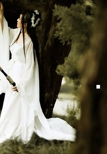 Red Feather Phoenix Flying