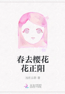 Spring is Gone, Cherry Blossoms Are in Full Bloom