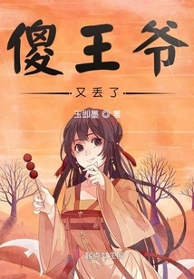 The Silly Prince Lost it Again