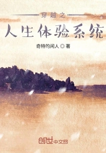 Time Travel Life Experience System