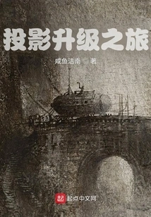 Projection Upgrade Journey