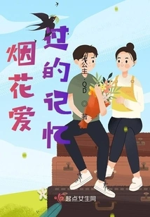 Fireworks Love Memories