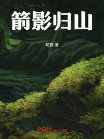 Arrow Shadow Returns to the Mountain