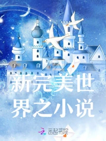 New Perfect World Novel