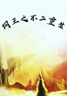 The King of Nets: the Second Rebirth