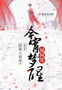 Tonight, I Will Wake up from My Dream