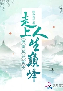 I Took the Cannon Fodder Script and Reached the Top of My Life