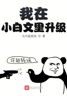 I Upgraded in Xiaobaiwen