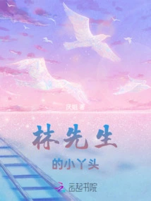 Mr. Lin's Little Girl