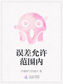 Within the Allowable Error Range