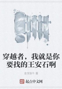 Traveler, I Am the Wang Anshi You Are Looking For