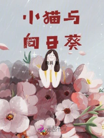 Kitten and Sunflower