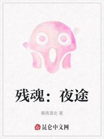 Remnant Soul: Night Journey