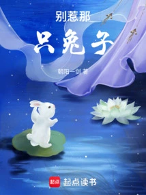 Don't Mess with That Rabbit