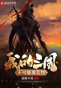 My Three Kingdoms Can't Be That Weird