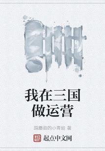 I Am Doing Operations in the Three Kingdoms