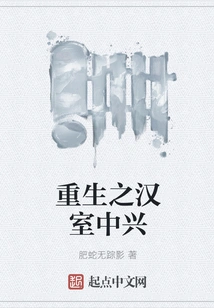 Rebirth of the Han Dynasty