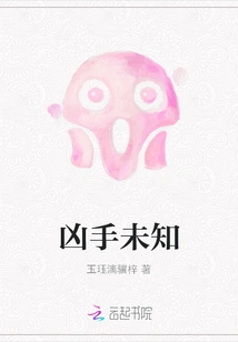 The Murderer is Unknown