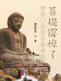 Journey to the West: the Skills Are Infinitely Improved, and Bodhi is Shocked