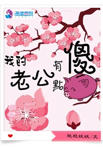 My Husband is a Bit Stupid