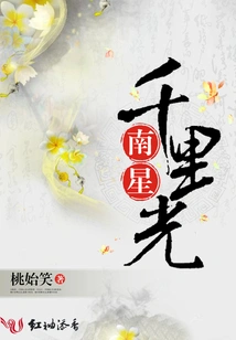 Southern Star Senecio