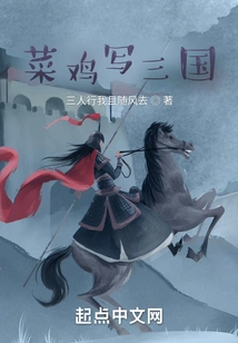 Rookie Writes About the Three Kingdoms