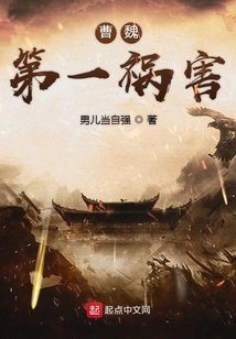 The First Disaster of Cao Wei