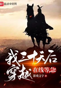 I Will Travel Through Time in Thirty Days, Waiting Online, Urgent!