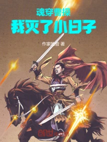 My Soul Penetrated Cao Cao, I Destroyed My Little Life